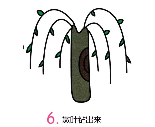 简单涂色的柳树简笔画