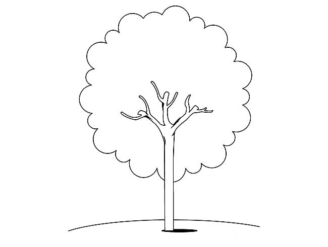 5款关于大树的简笔画大全