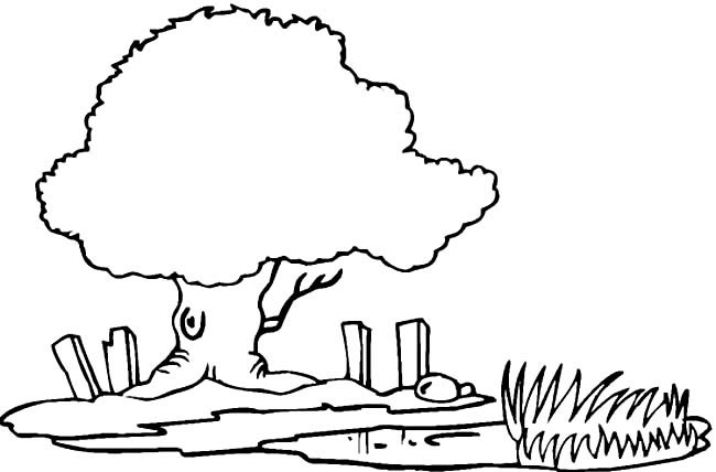 5款关于大树的简笔画大全