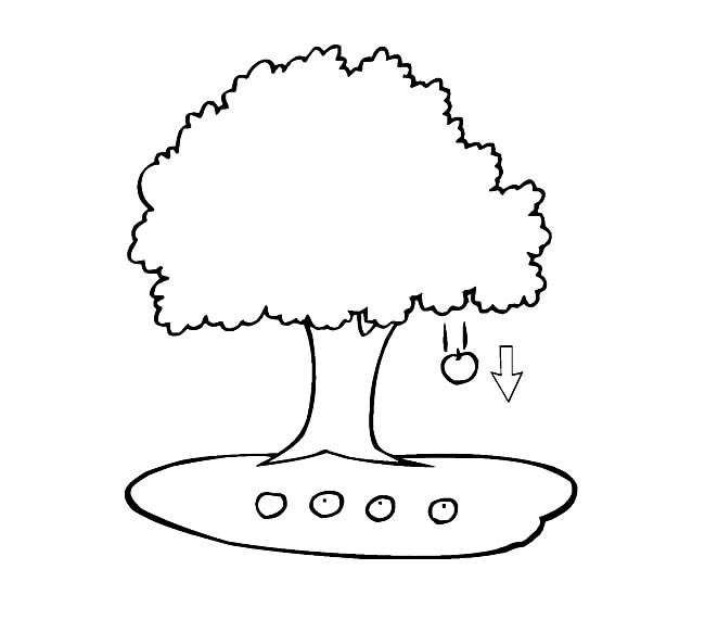 落了一地苹果的果树简笔画(苹果落了一地的说说)