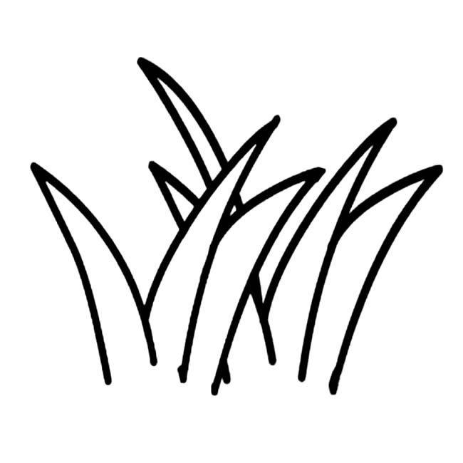 小草怎么画最简单(小草怎么画简单好看高级)