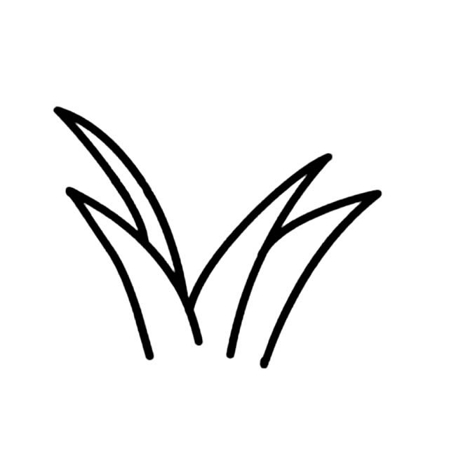 小草的简单画法(小草简单画法又漂亮)