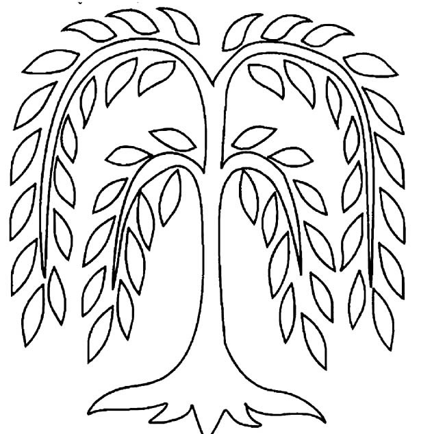 一看就会的柳树简笔画