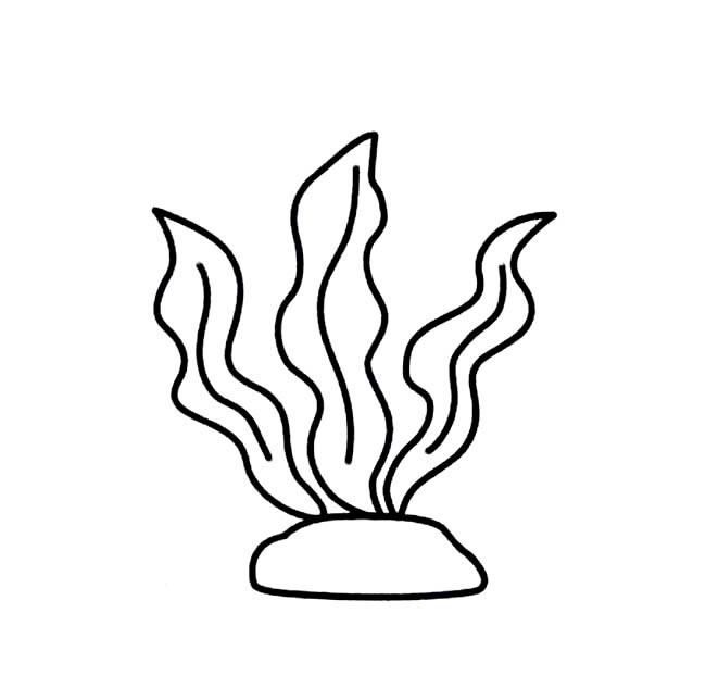 简单的水草怎么画(简单的水草和小鱼怎么画)