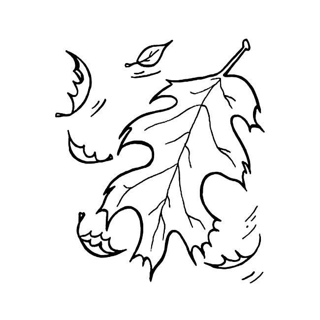 随风飘荡的落叶简笔画(落叶随风飘荡去远方)