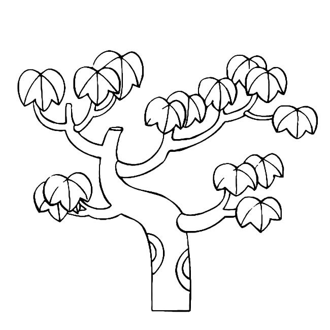 秋天的大树简笔画(秋天的大树简笔画怎么画)