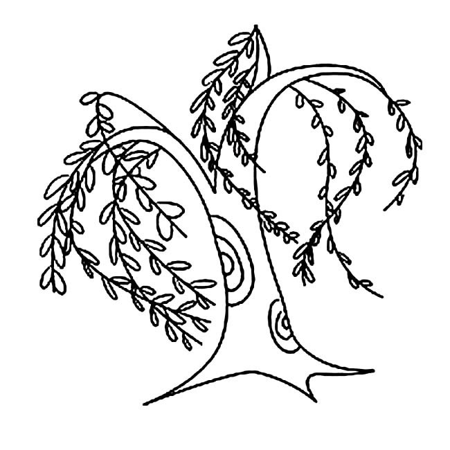 长满枝条的柳树简笔画(柳树枝条细又长)