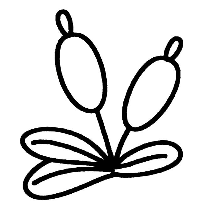 简单的香蒲怎么画(简单的向日葵怎么画)