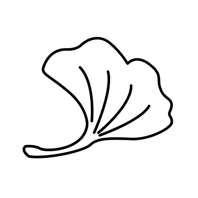简单的银杏叶怎么画(简单银杏叶怎么画)