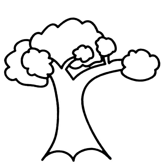 茂盛的大树简笔画(茂盛的大树图片)