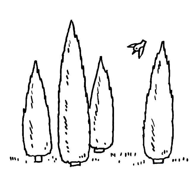关于小树林的简笔画
