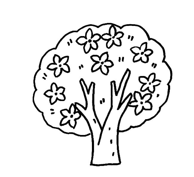 结满花的花树简笔画
