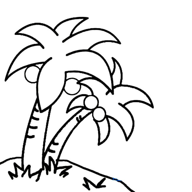 两颗椰子树简笔画(两棵椰子树简笔画)