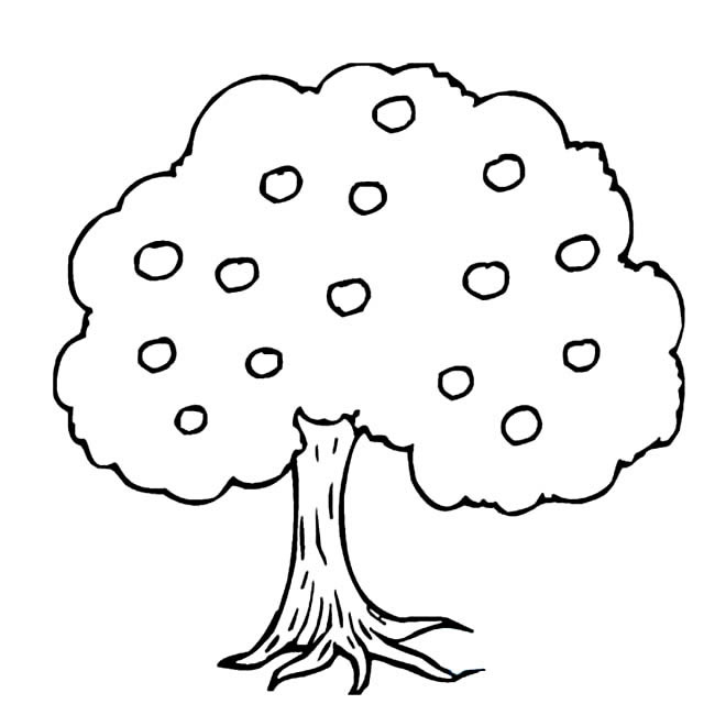高大的果树简笔画(秋天的果树简笔画)