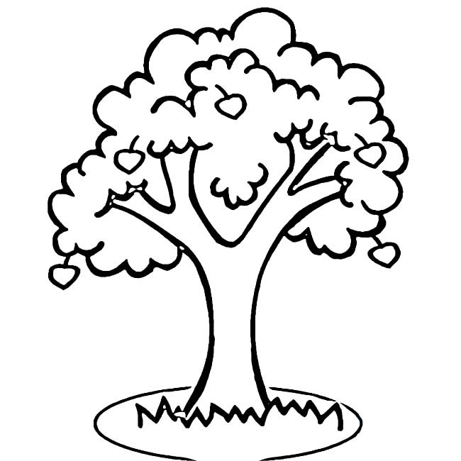 高大的苹果树简笔画(梦见高大的苹果树)