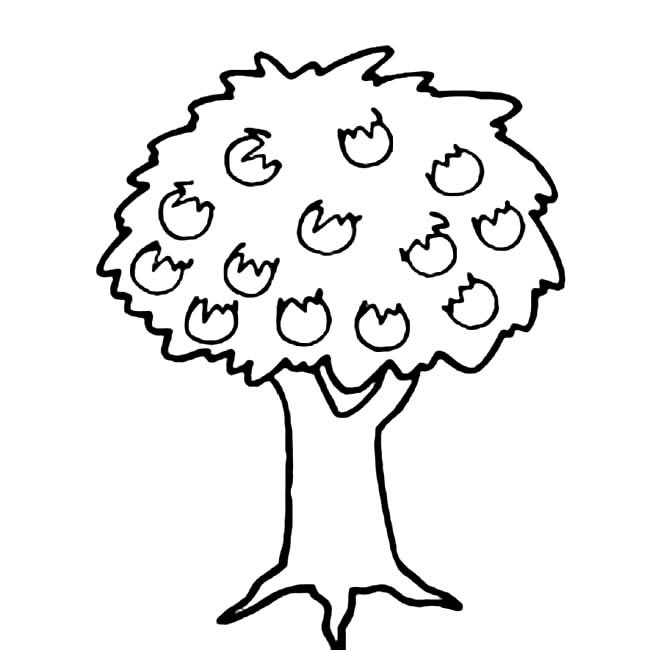 结满果子的果树简笔画(果树结的果子不甜怎么办)
