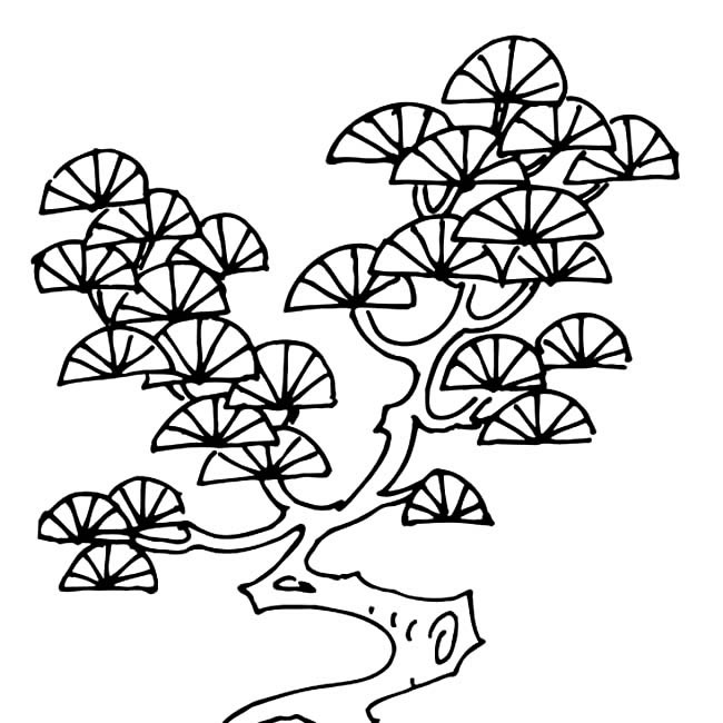 盆景松树简笔画(松树盆景造型简笔画)