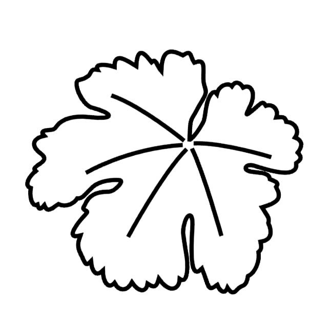 葡萄树的树叶简笔画(简笔葡萄树画画图片大全)