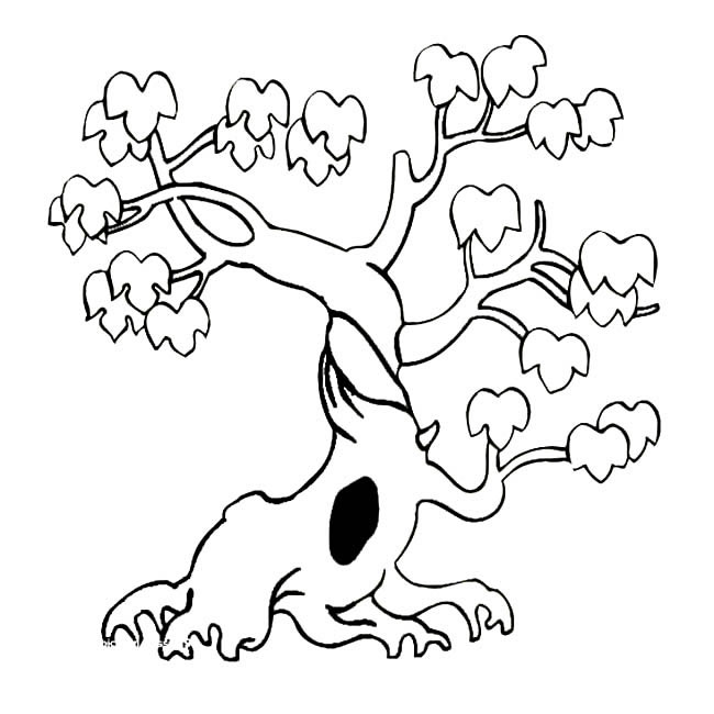 漂亮的景观树简笔画