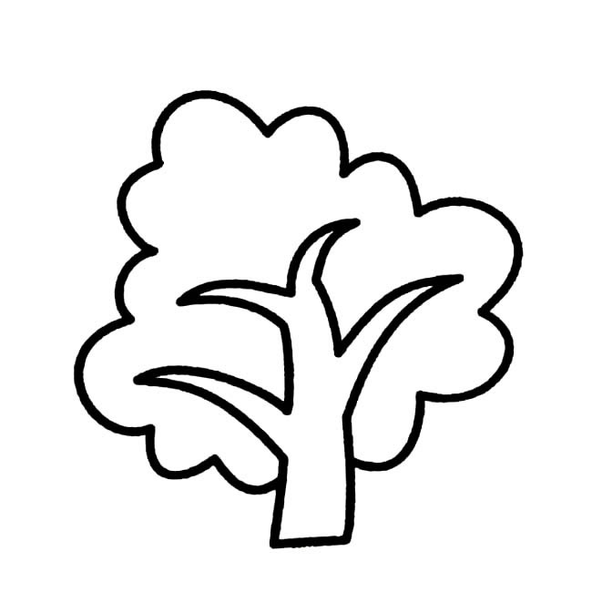 一看就会的大树简笔画