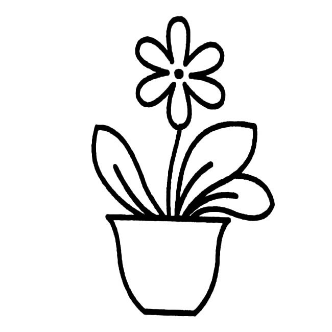 关于盆景的简笔画(仙人掌盆景简笔画)