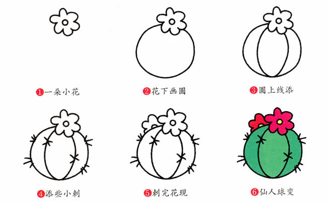 开花的仙人球简笔画教程(仙人球开花图片)