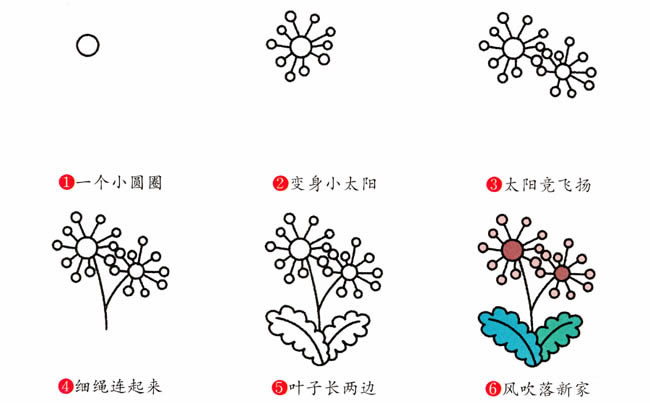 涂色的蒲公英简笔画教程(蒲公英图片简笔画涂色)