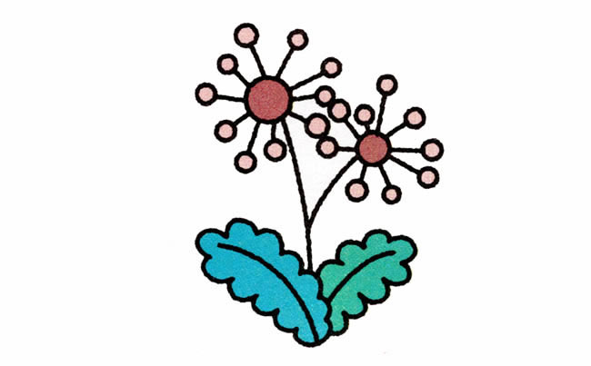 涂色的蒲公英简笔画教程