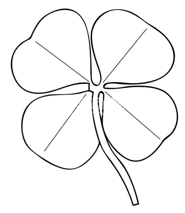 关于四叶草的简笔画(四叶草的画法简笔彩色)