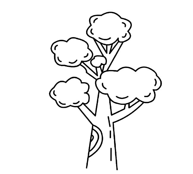 参天大树简笔画(参天大树简笔画画法)