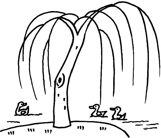 池塘边的柳树简笔画(夏天池塘边的柳树)