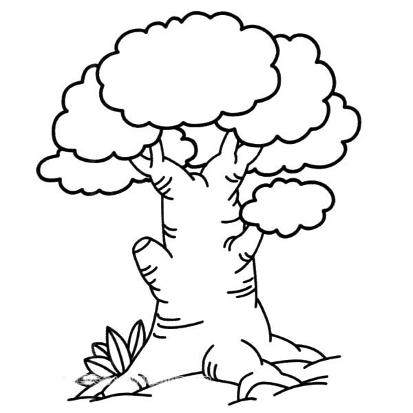 茂盛的大榕树简笔画(茂盛的大榕树图片)