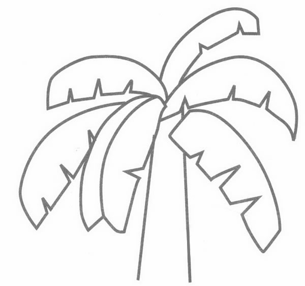 芭蕉树简笔画(芭蕉树简笔画水彩上色)