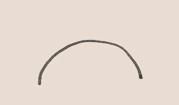 狗尾巴草简笔画步骤(狗尾巴草)