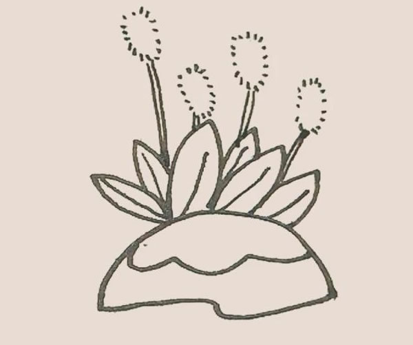 狗尾巴草简笔画步骤