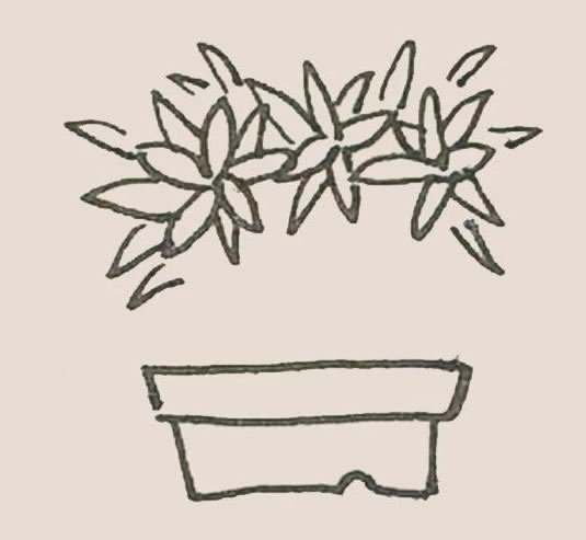 简单的盆栽儿童画
