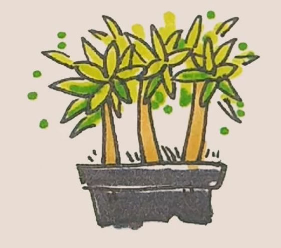 简单的盆栽儿童画