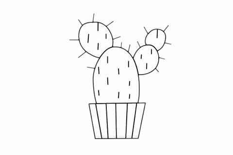 超简单仙人掌的画法(仙人掌怎么画简单又漂亮的视频)