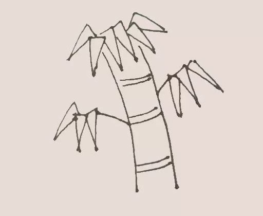 绿色的竹子简笔画