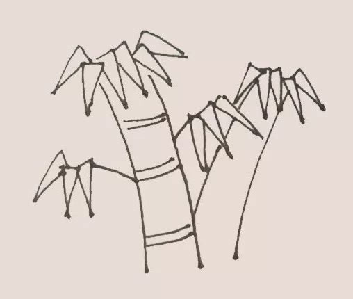 绿色的竹子简笔画