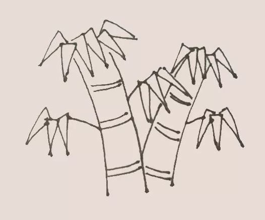 绿色的竹子简笔画