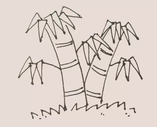 绿色的竹子简笔画