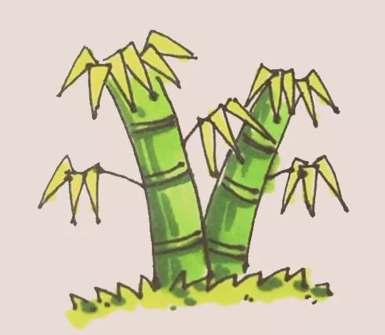 绿色的竹子简笔画