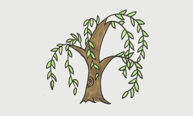 柳树怎么画简单又好看