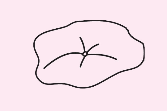 荷叶简笔画图片大全(荷叶简笔画图片大图)