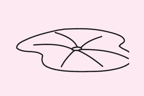 荷叶简笔画图片大全