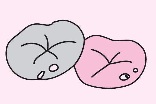 荷叶简笔画图片大全