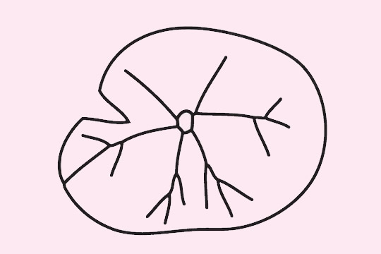 荷叶简笔画图片大全