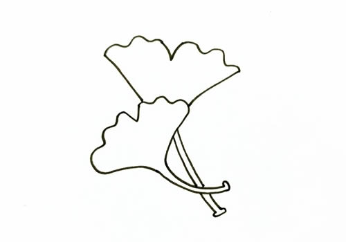 秋天的银杏叶简笔画
