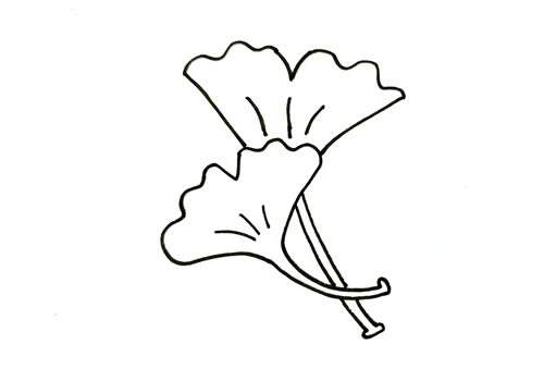 秋天的银杏叶简笔画